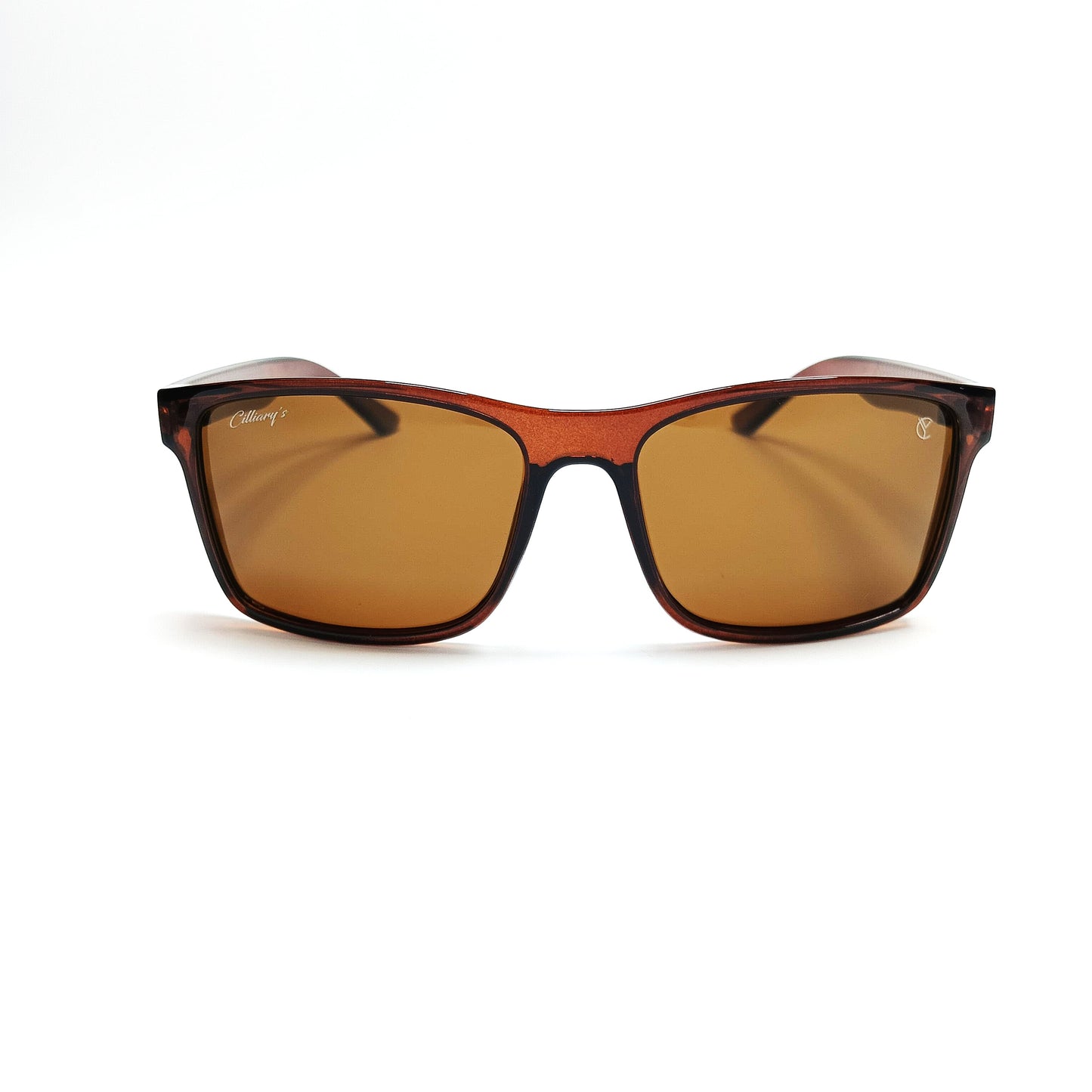 Arctic Edge Polarised Glossy Brown