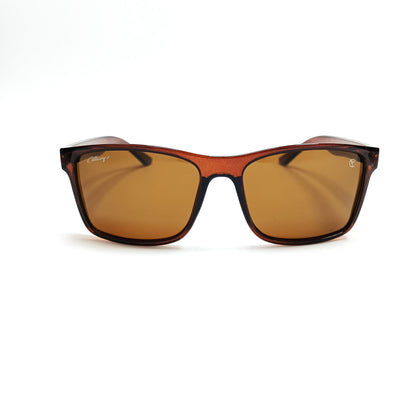 Arctic Edge Polarised Glossy Brown