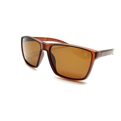 Arctic Edge Polarised Glossy Brown