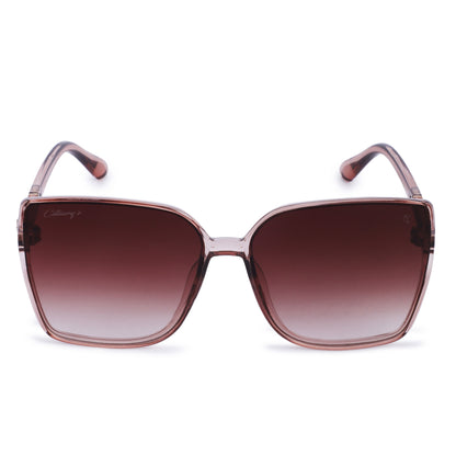 Cilliary's Cocoa Women's Luxury UV400 Sunglasses| Size 63-14-141 (Transbrown)