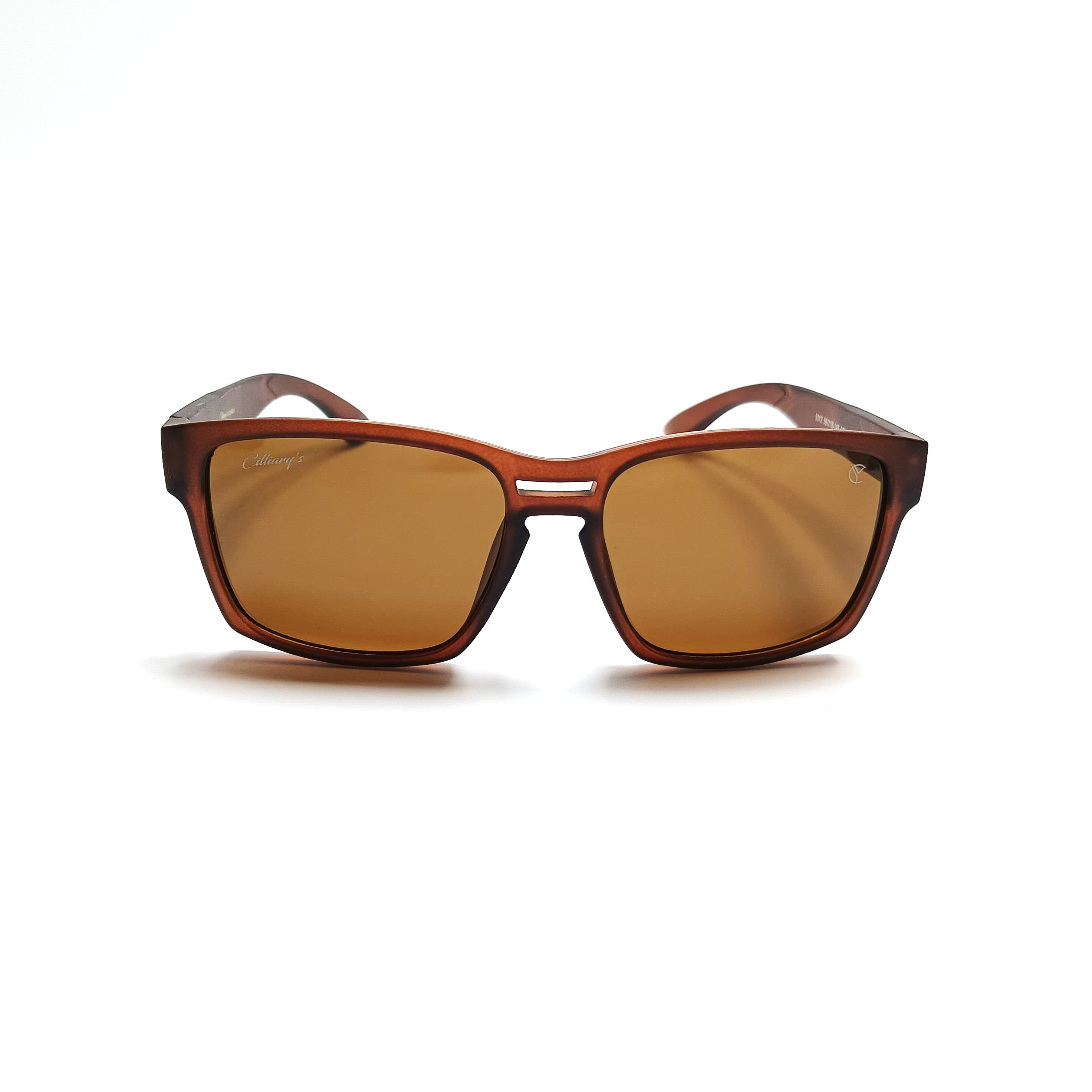 Orris Polarized Brown (Mens)