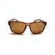 Orris Polarized Brown (Mens)