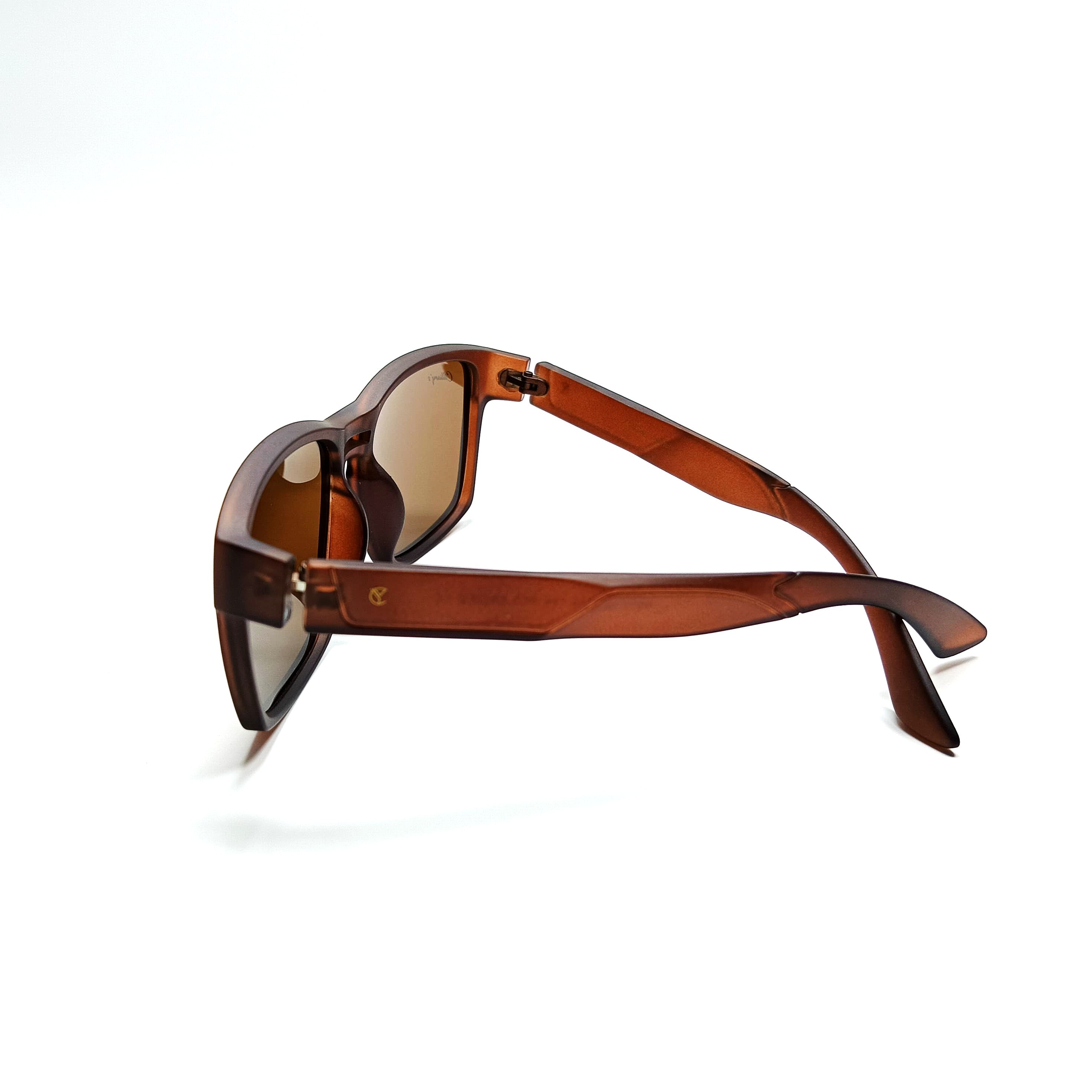 Orris Polarized Brown (Mens)