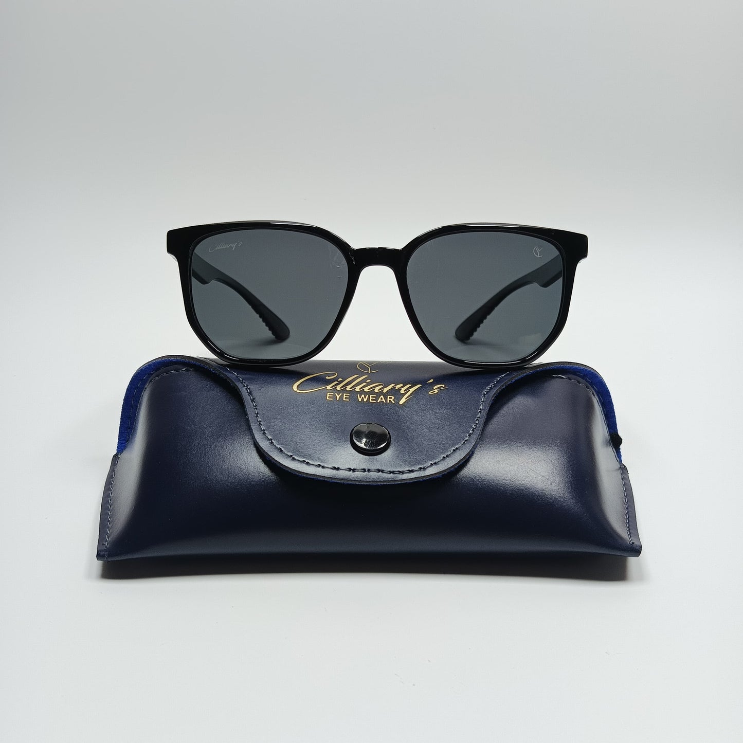 Panto Polarized Glossy Black