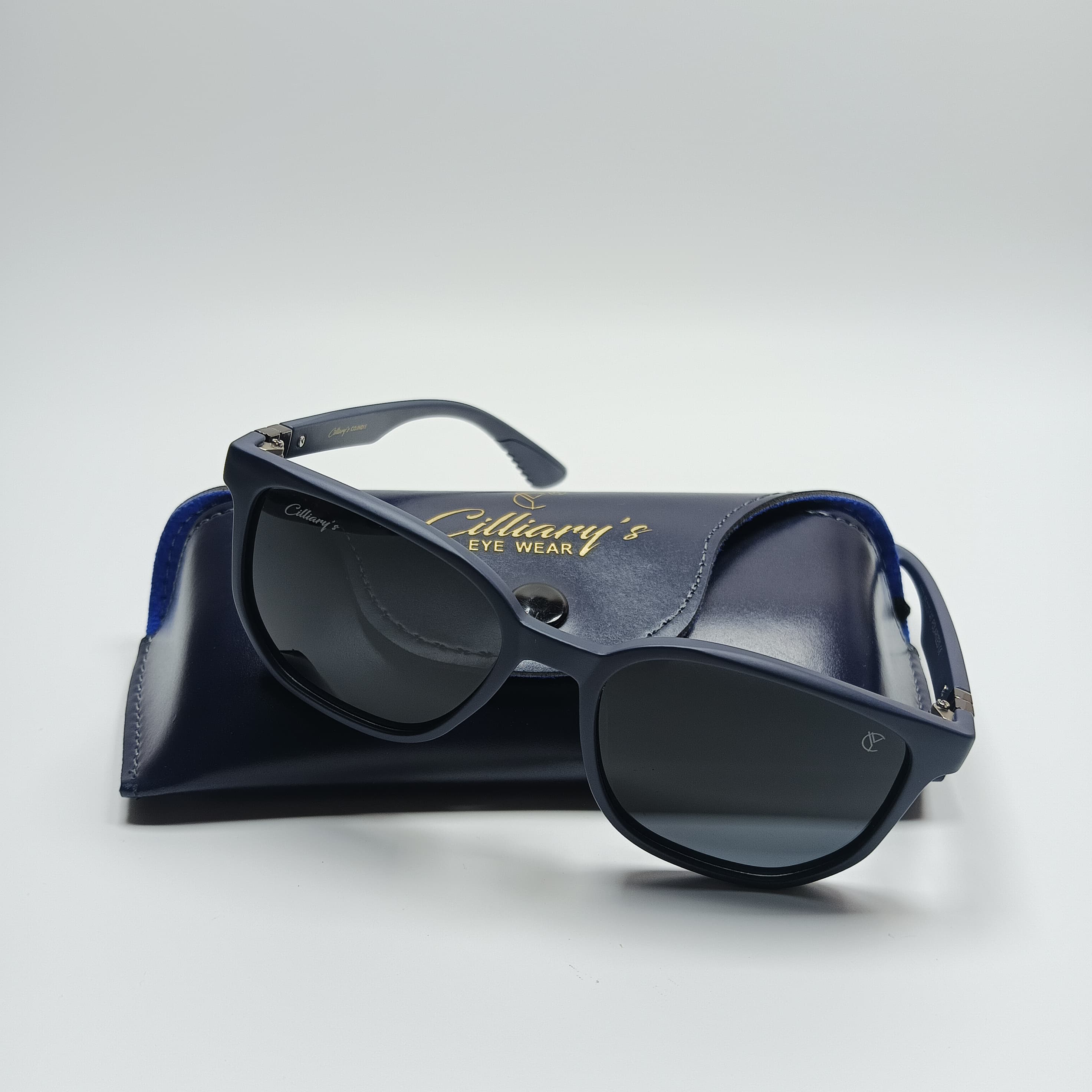 Panto Polarized Matte Blue