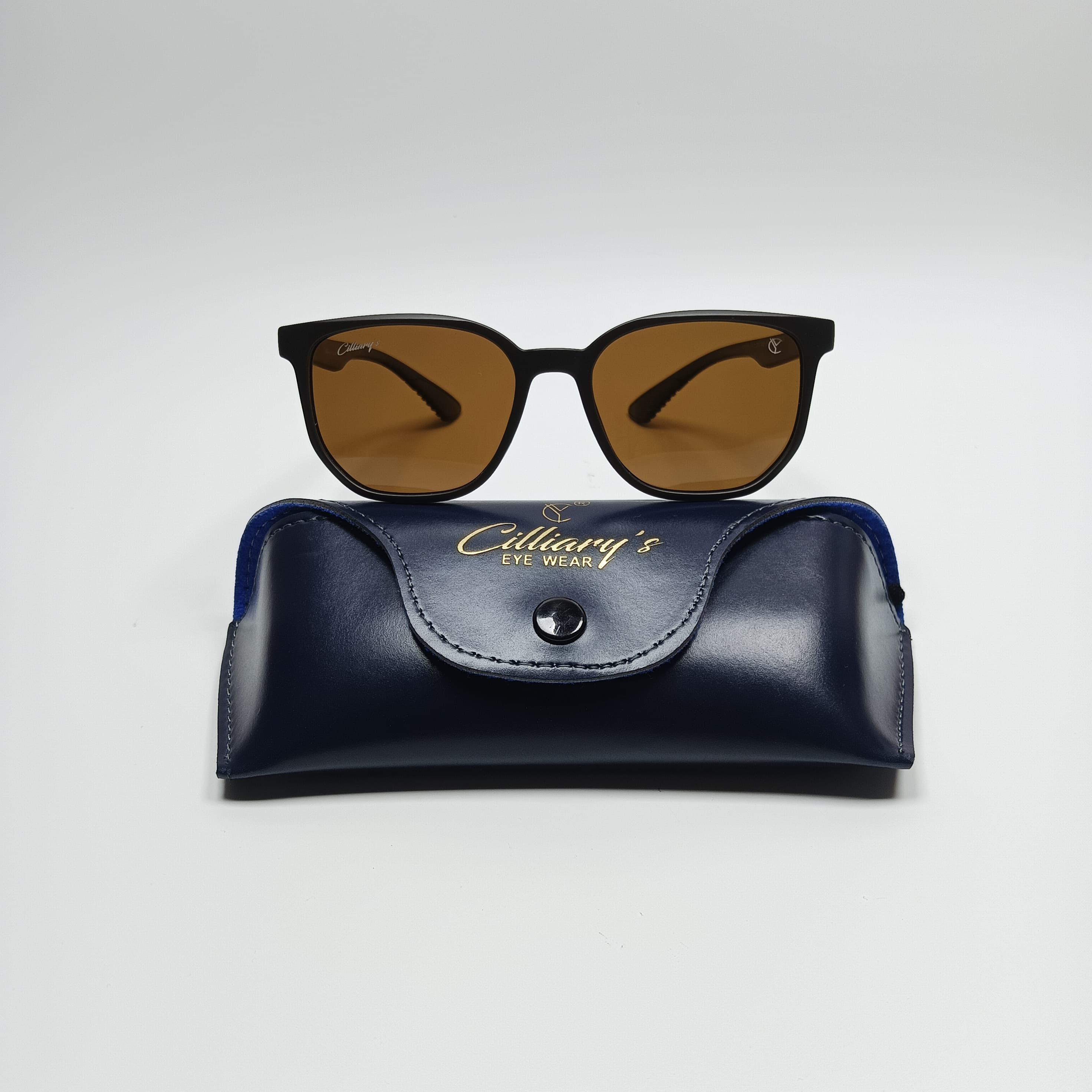 Panto Polarized Matte Brown