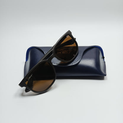 Panto Polarized Matte Brown