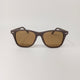 Traveler ( Men, Wayfarer ) Polarised Matte Brown