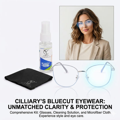 Cat-887-silverblue-383 Cat-Eye Glasses – Anti-Glare & Eye Strain Relief Kit
